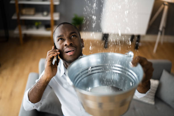 Best Commercial water damage restoration  in New Freedom, PA