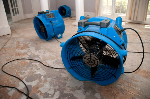 Best Emergency water damage restoration  in New Freedom, PA