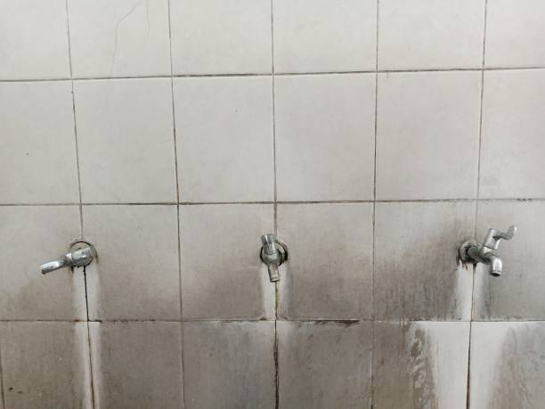 Best Water damage restoration cost  in New Freedom, PA