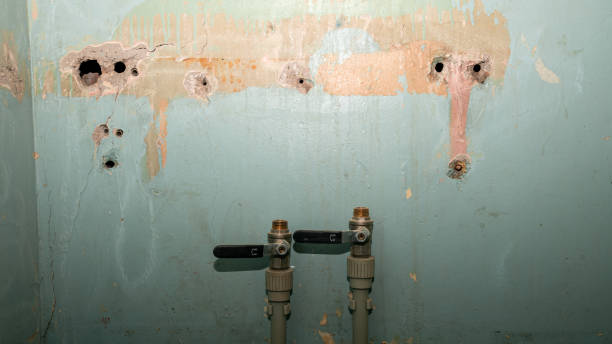 Best Water damage restoration experts  in New Freedom, PA